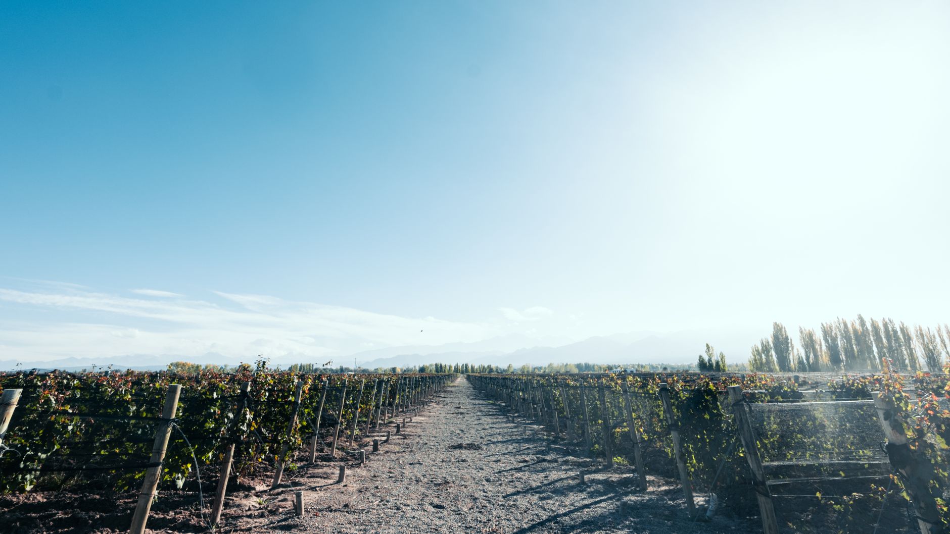 Mendoza