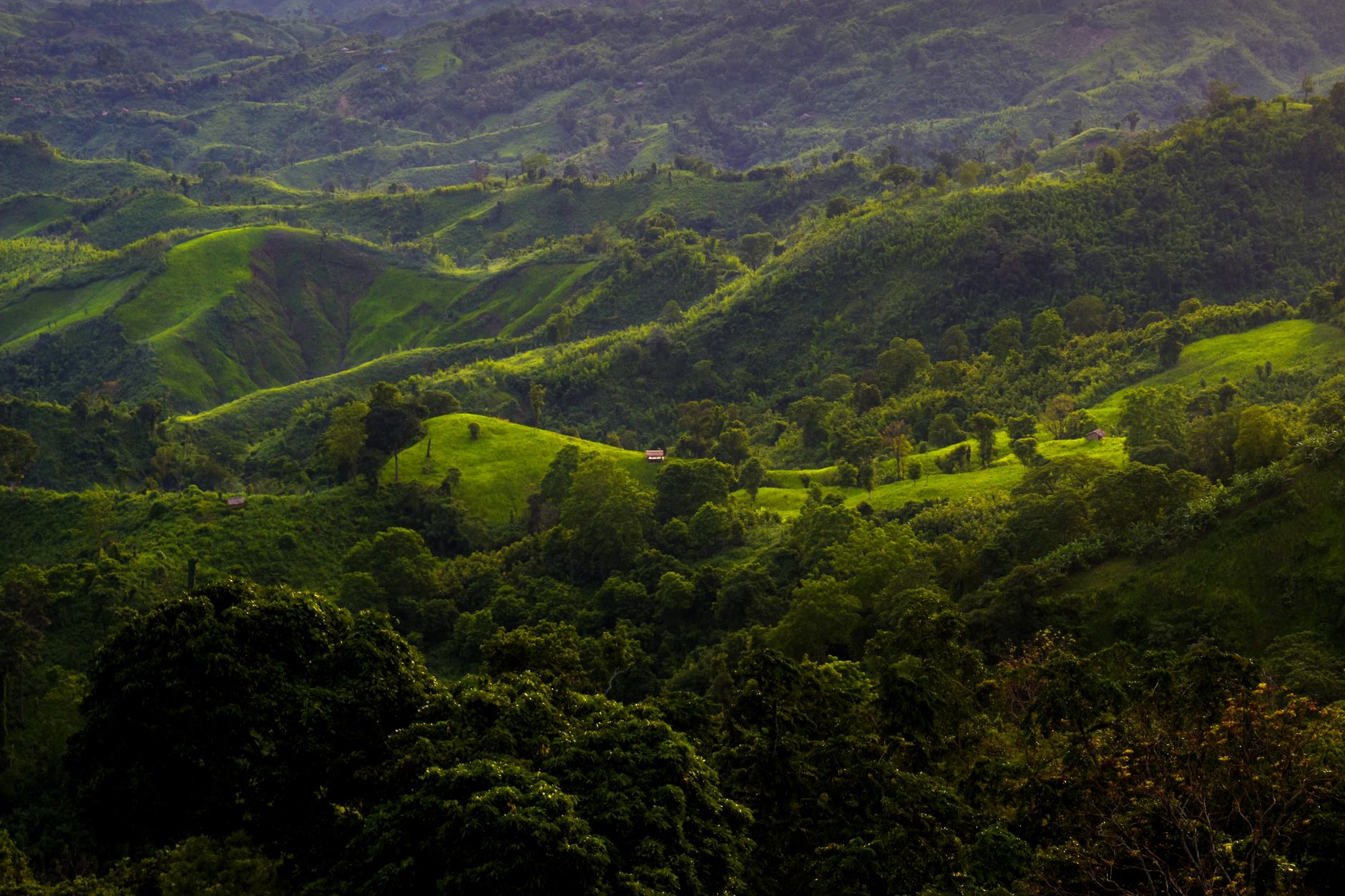 Sajek Valley