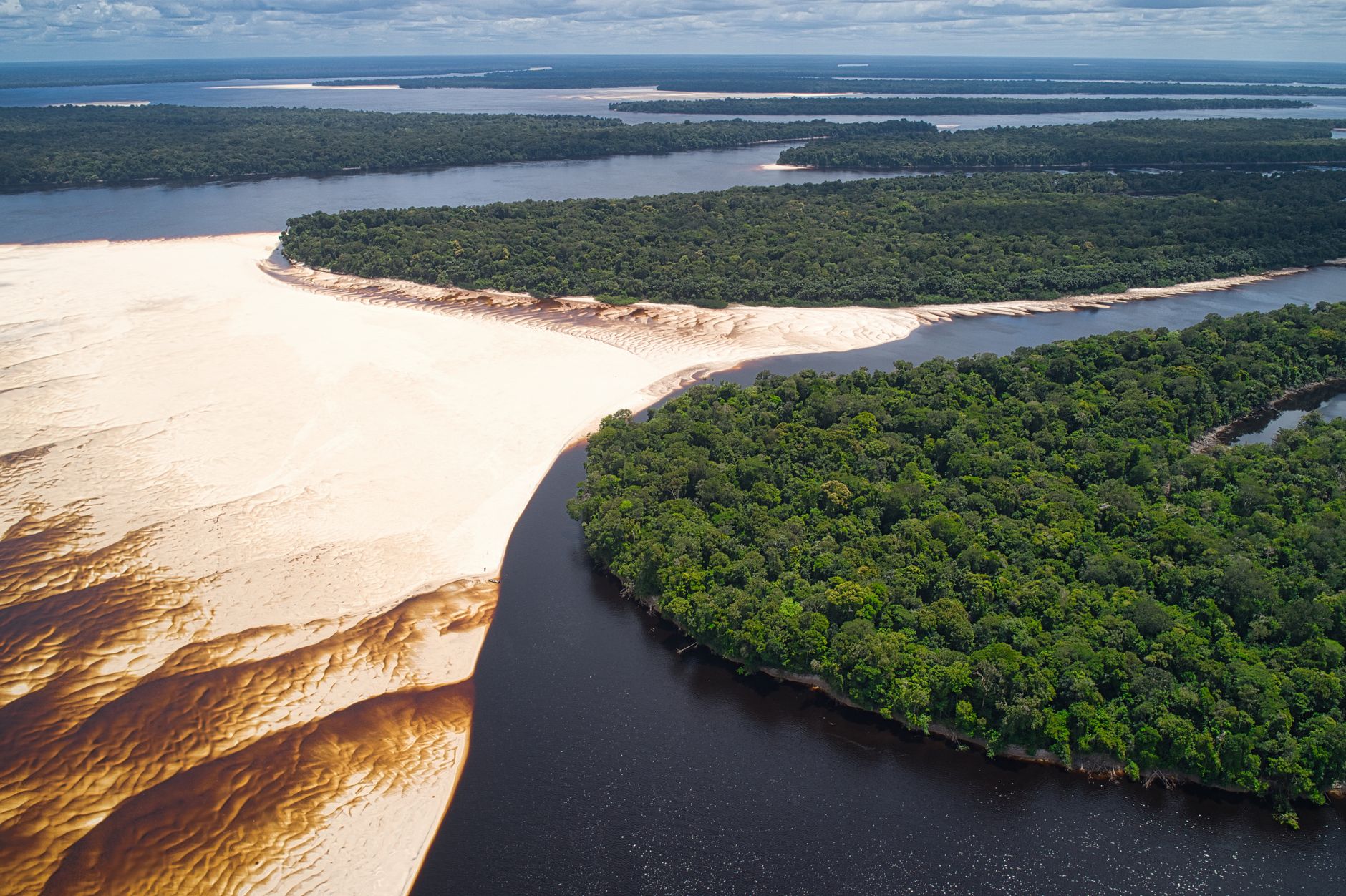 The Amazon and Manaus