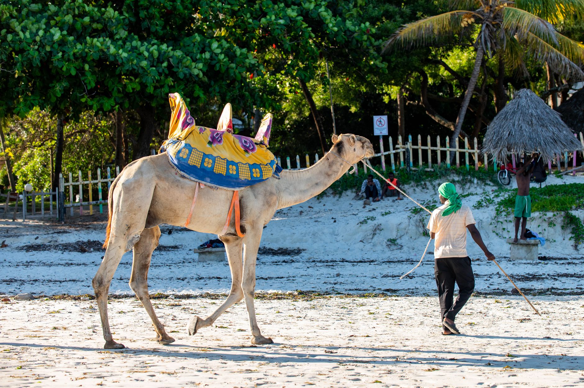 Lamu Island