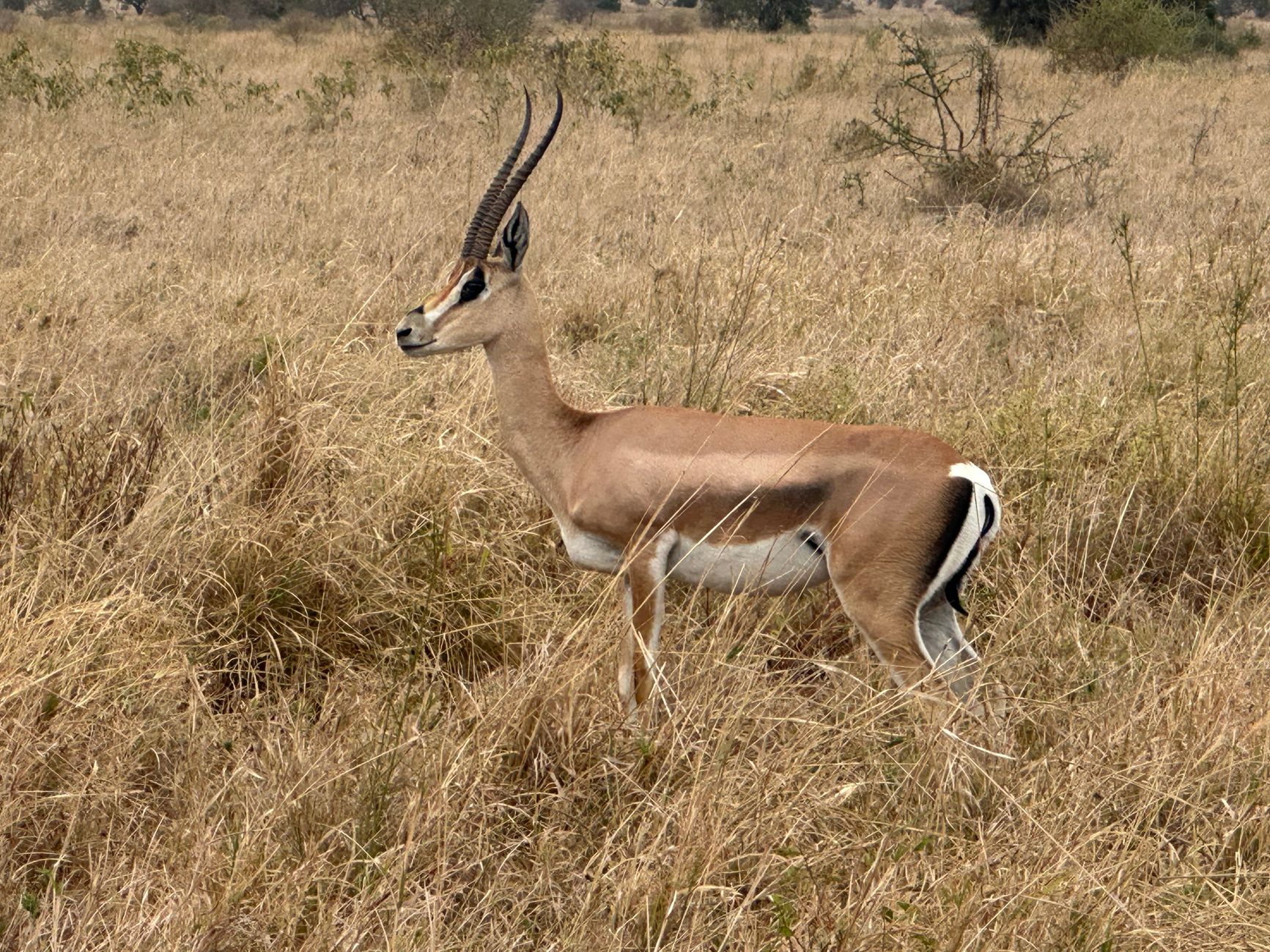 Serengeti National Park