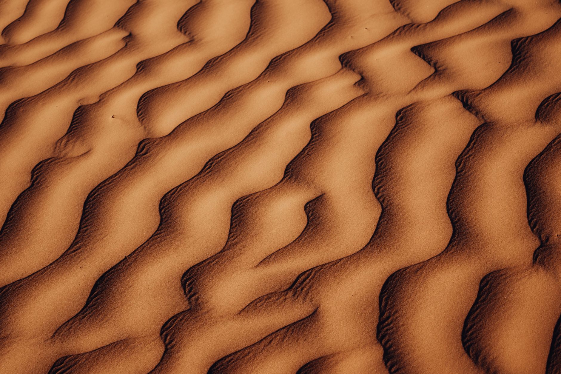 Sahara Desert near Douz