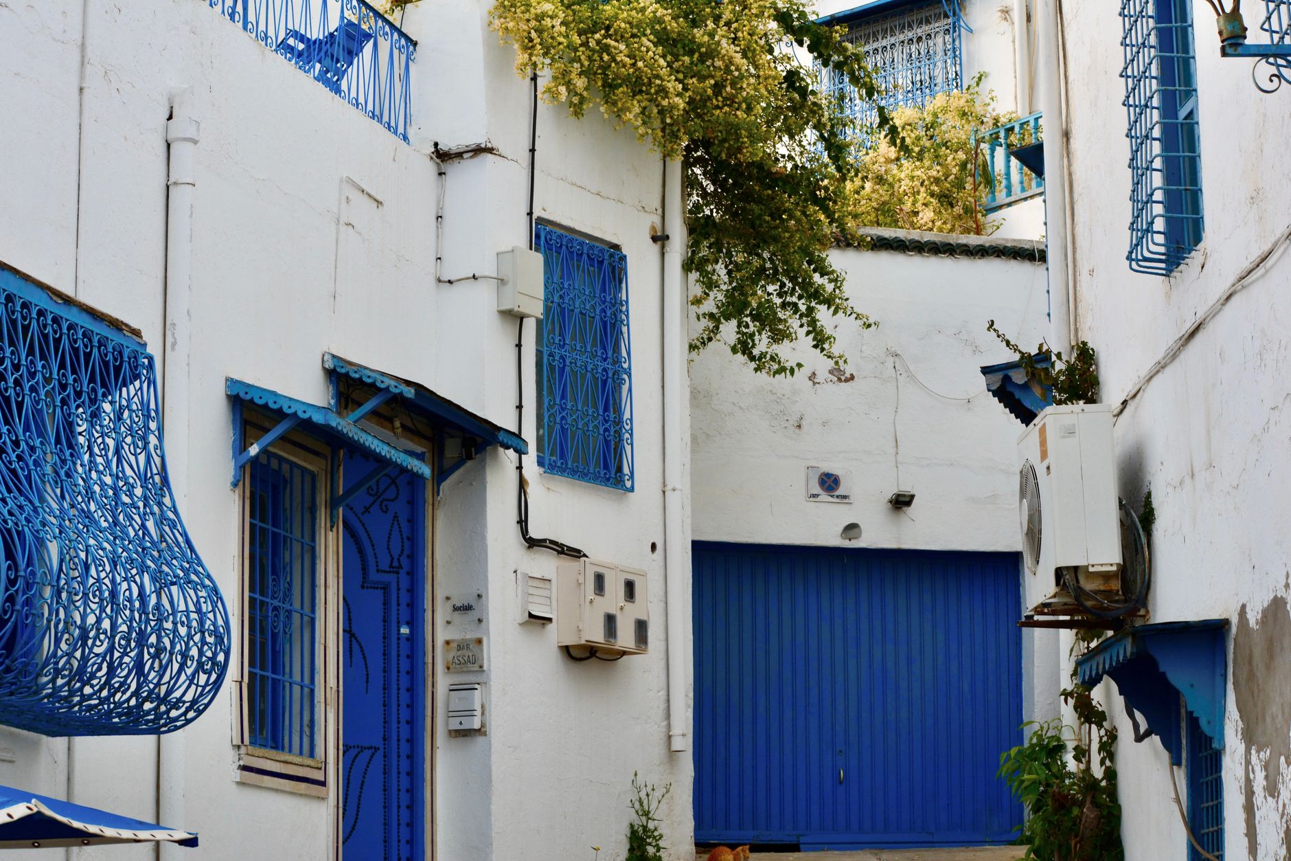 Tunis Medina